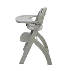 Beyond Junior® Y High Chair (2024)